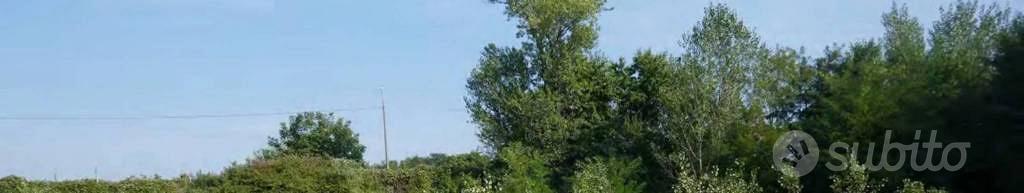 Immobile in asta di 3585 m² a Pozzo d'Adda - Vista 4