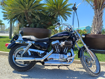 Harley davidson sportster