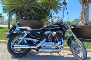 Harley davidson sportster