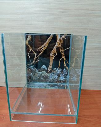 acquario 
