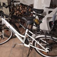 coppia di bici elettriche Quadrini