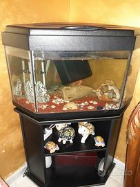 Acquario ad angolo