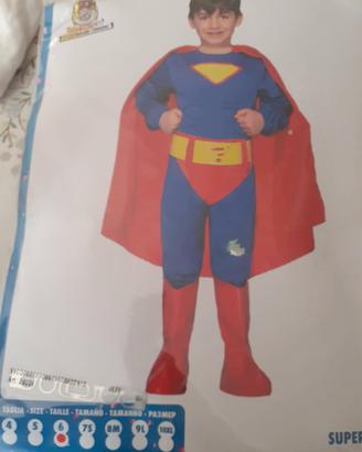 vestito di carnevale 