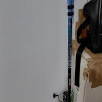 bolognese hercules 6m 