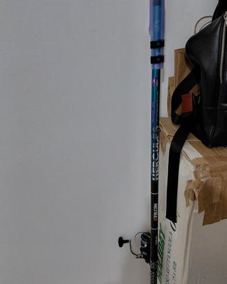 bolognese hercules 6m 