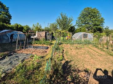 Terreno agricolo per orto o svago