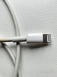 Cavo di collegamento da USB a Lightning Apple