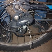 bicicletta 