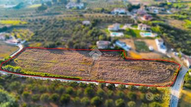 TER. AGRICOLO A PARTINICO