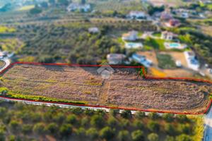 TER. AGRICOLO A PARTINICO