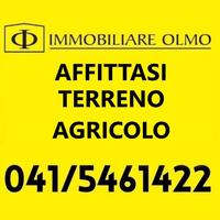 Rif.5016| terreno agricolo martellago