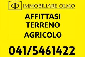 Rif.5016| terreno agricolo martellago