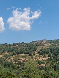 TERRENO EDIFICABILE E PANORAMICO A STIA (Bel