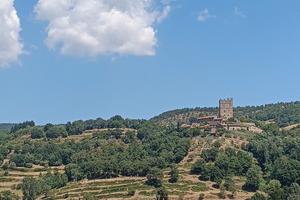 TERRENO EDIFICABILE E PANORAMICO A STIA (Bel