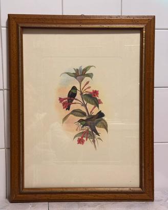 cornice con stampa artistica