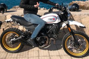 Ducati Desert Sled