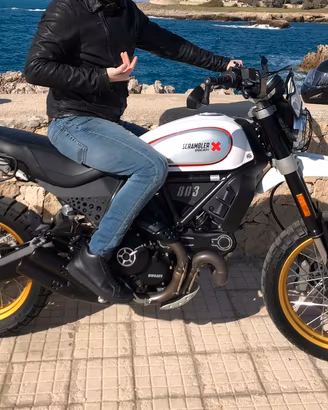 Ducati Desert Sled