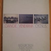 Gange venexiana cycnus