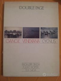 Gange venexiana cycnus