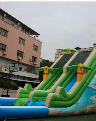 Scivolo Acquatico Gonfiabile con piscina 