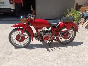 moto guzzi airone 250