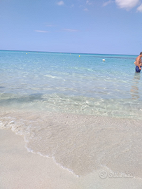 Lido conchiglie a 50m dalla spiaggia di sabbia