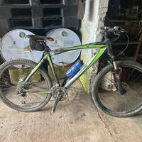 MTB Kawasaki in carbonio