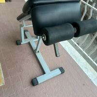 Panca per addominali professionale