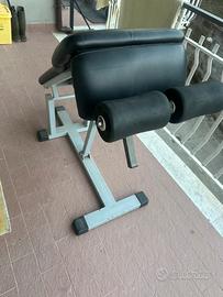 Panca per addominali professionale