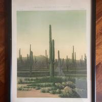 Poster vintage con cornice nera