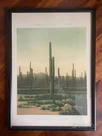 Poster vintage con cornice nera