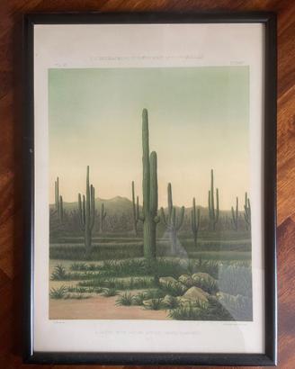 Poster vintage con cornice nera