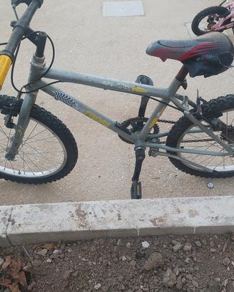 bicicletta 