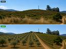 donori-terreno-agricolo-localita-sa-roja-fridrigu