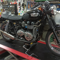 Triumph Bonneville t100 Black Engine
