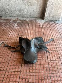 Sella cavallo purosangue