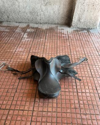 Sella cavallo purosangue