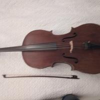 violoncello
