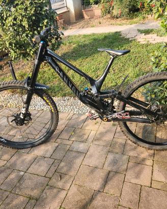 Canyon Sender 2021  tg M