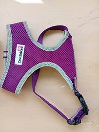 accessori per cani piccola taglia