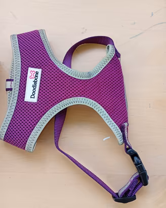 accessori per cani piccola taglia