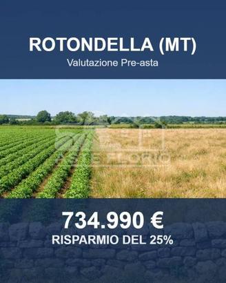 Immobile in asta di 1609713 m² a Rotondella