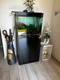 Acquario  completo