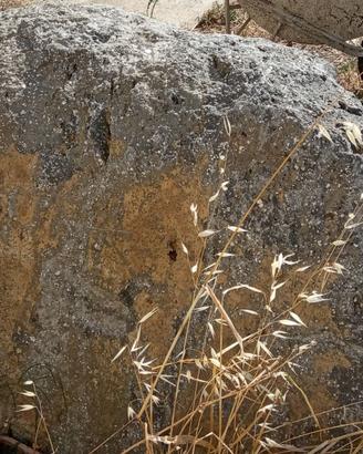 6 ROCCE ORNAMENTALI DA GIARDINO