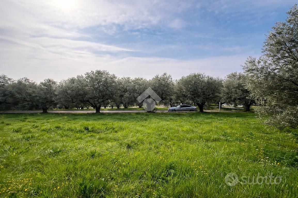 TERRENO A SILVI - Vista 2