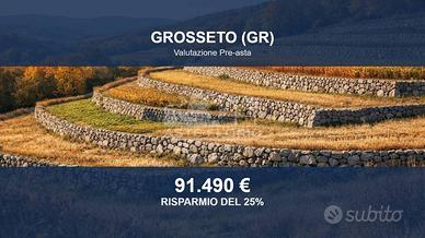 Immobile in asta di 126985 m² a Grosseto