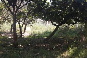 Terreno Agricolo Eboli [180418VCG]