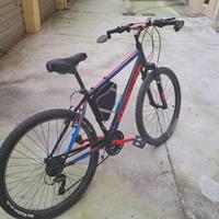 Mountainbike