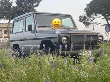 Mercedes g300d