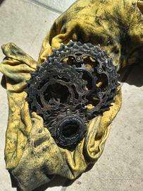 pacco Pignoni Shimano Ultegra 11 velocità 